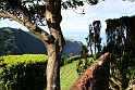 Ponta da Madrugada